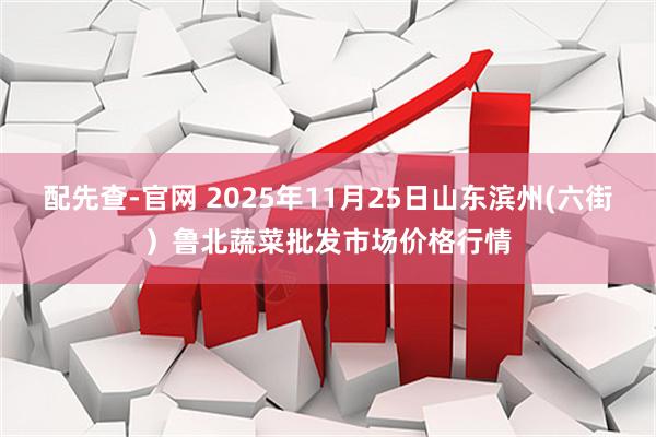 配先查-官网 2025年11月25日山东滨州(六街）鲁北蔬菜批发市场价格行情