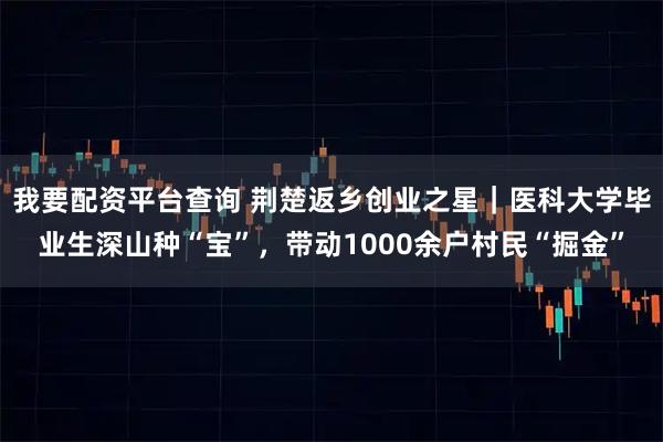 我要配资平台查询 荆楚返乡创业之星｜医科大学毕业生深山种“宝”，带动1000余户村民“掘金”