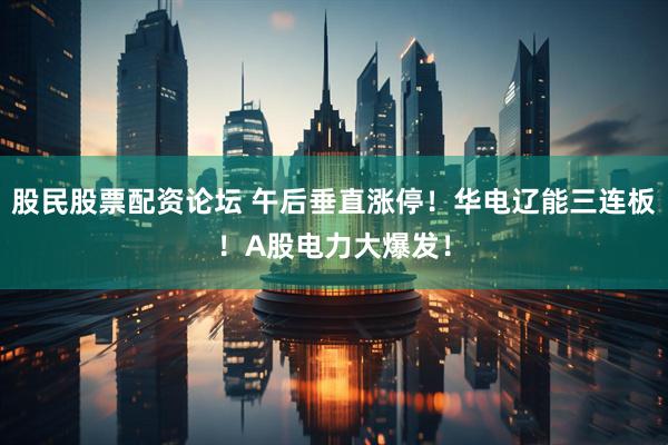 股民股票配资论坛 午后垂直涨停！华电辽能三连板！A股电力大爆发！